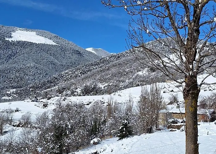 Rectoria Nova Campelles